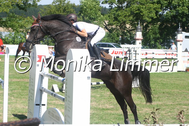 308M3126_Abbys coconut_Spring_Mxx.JPG